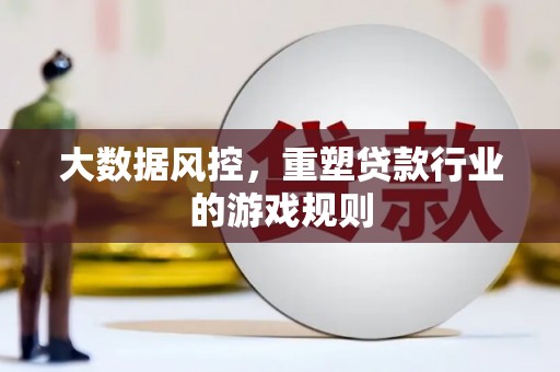甘孜大数据风控，重塑贷款行业的游戏规则