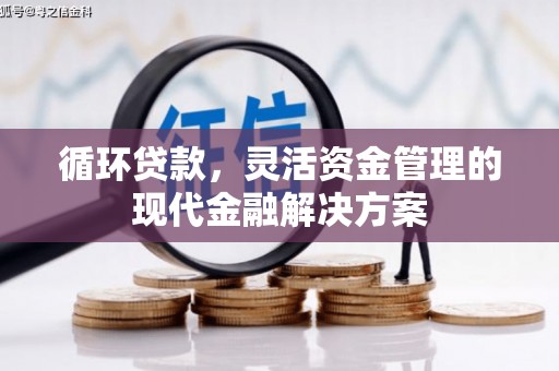 甘孜循环贷款，灵活资金管理的现代金融解决方案