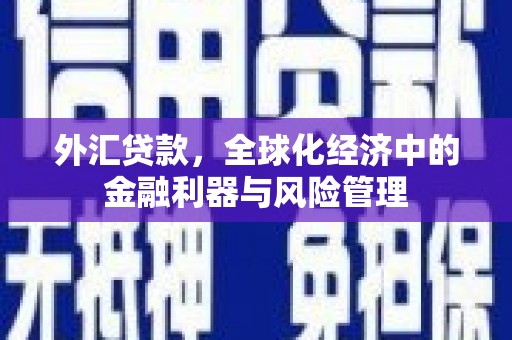 甘孜外汇贷款，全球化经济中的金融利器与风险管理