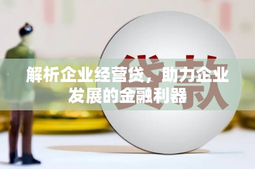 甘孜解析企业经营贷，助力企业发展的金融利器