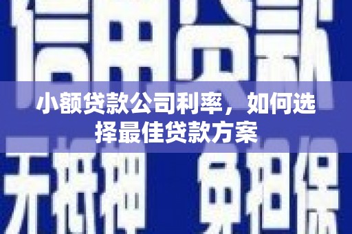 甘孜小额贷款公司利率，如何选择最佳贷款方案