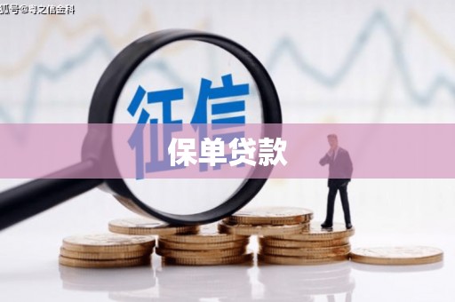 甘孜保单贷款
