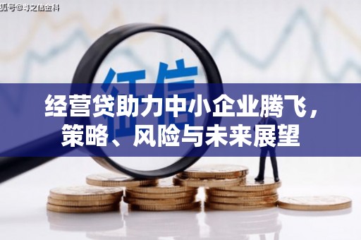 甘孜经营贷助力中小企业腾飞，策略、风险与未来展望
