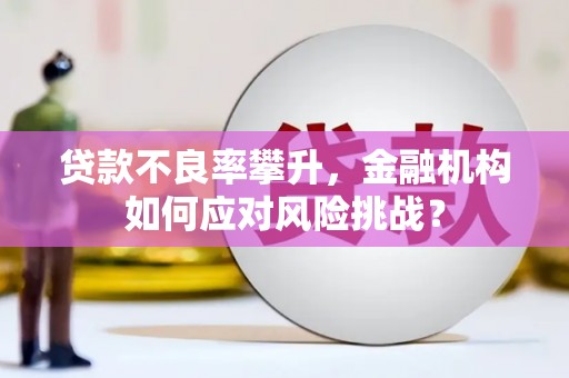 甘孜贷款不良率攀升，金融机构如何应对风险挑战？