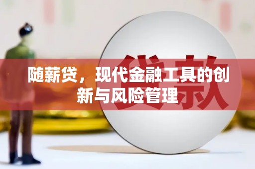 甘孜随薪贷，现代金融工具的创新与风险管理