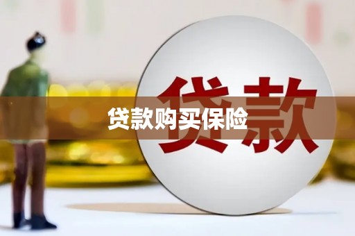 甘孜贷款购买保险