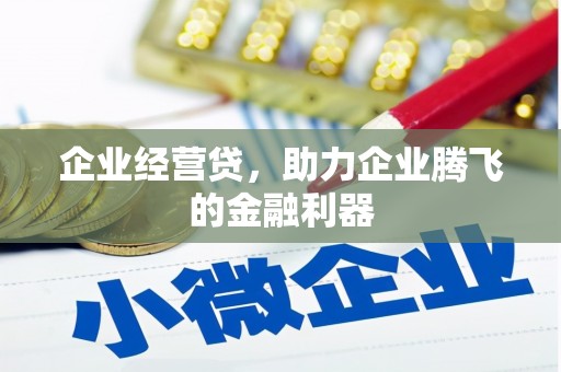 甘孜企业经营贷，助力企业腾飞的金融利器