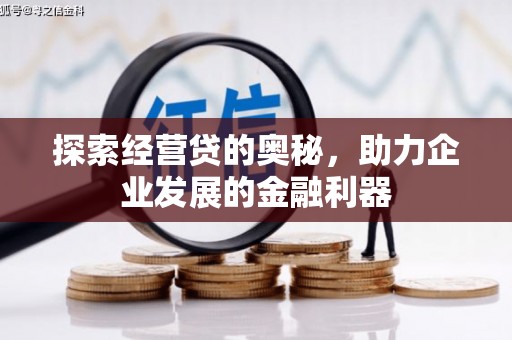 甘孜探索经营贷的奥秘，助力企业发展的金融利器