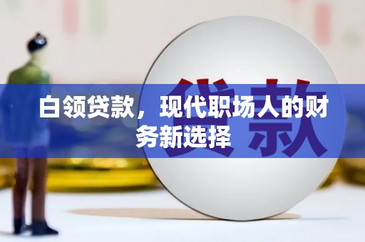 甘孜白领贷款，现代职场人的财务新选择