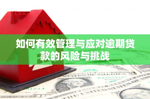 甘孜如何有效管理与应对逾期贷款的风险与挑战