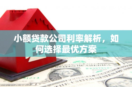 甘孜小额贷款公司利率解析，如何选择最优方案