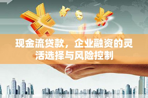 甘孜现金流贷款，企业融资的灵活选择与风险控制
