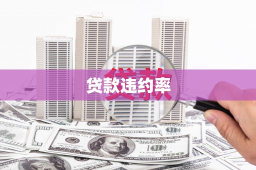 甘孜贷款违约率