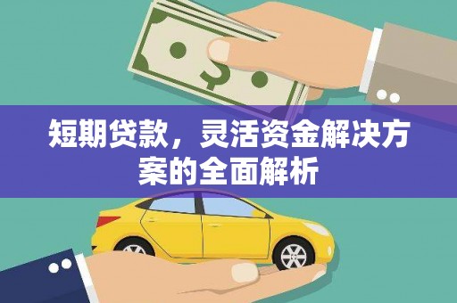 甘孜短期贷款，灵活资金解决方案的全面解析