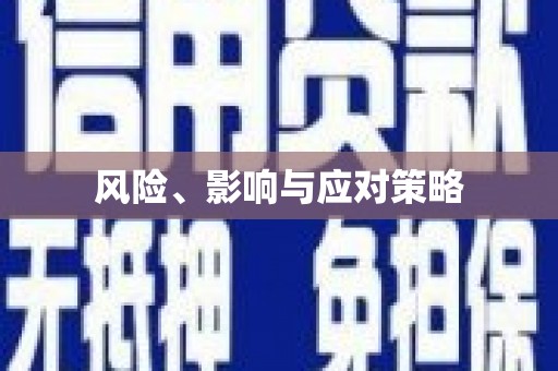 甘孜风险、影响与应对策略
