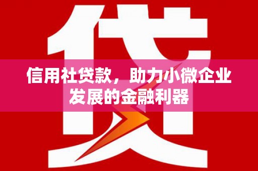 甘孜信用社贷款，助力小微企业发展的金融利器