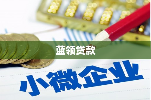 甘孜蓝领贷款