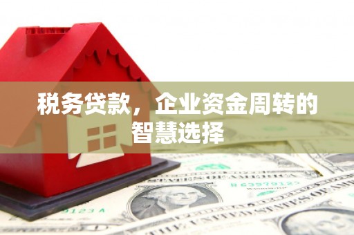 甘孜税务贷款，企业资金周转的智慧选择
