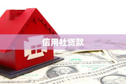 甘孜信用社贷款