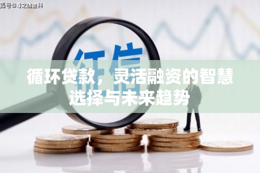 甘孜循环贷款，灵活融资的智慧选择与未来趋势