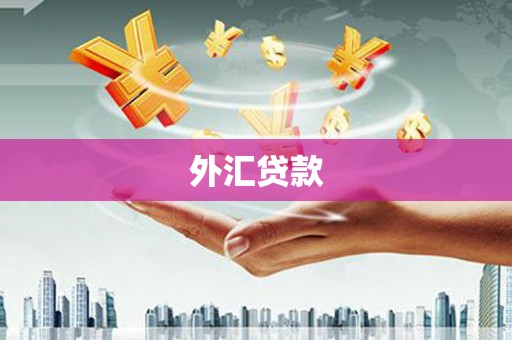 甘孜外汇贷款