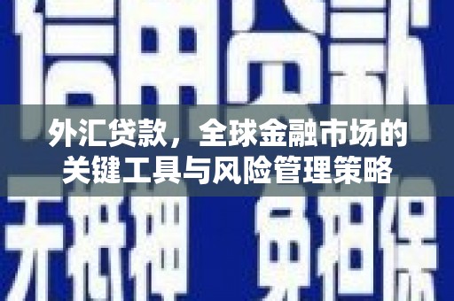 甘孜外汇贷款，全球金融市场的关键工具与风险管理策略