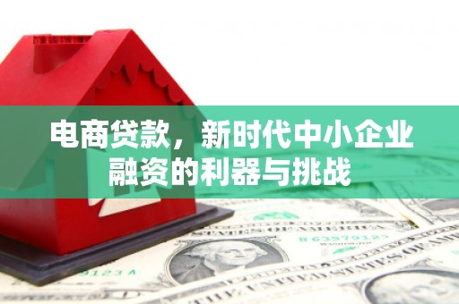 甘孜电商贷款，新时代中小企业融资的利器与挑战