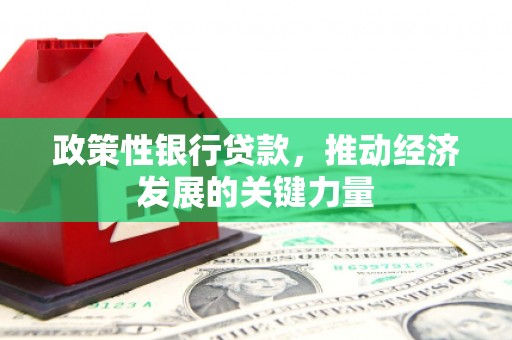 甘孜政策性银行贷款，推动经济发展的关键力量