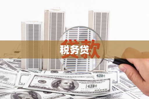 甘孜税务贷