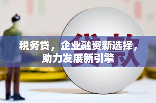 甘孜税务贷，企业融资新选择，助力发展新引擎
