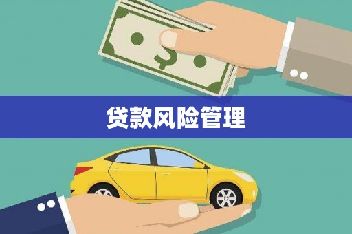 甘孜贷款风险管理