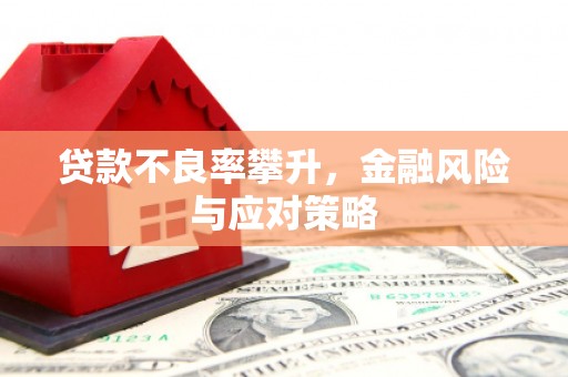 甘孜贷款不良率攀升，金融风险与应对策略