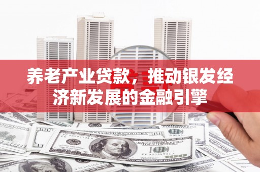 甘孜养老产业贷款，推动银发经济新发展的金融引擎