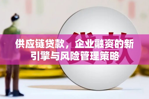 甘孜供应链贷款，企业融资的新引擎与风险管理策略