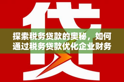 甘孜探索税务贷款的奥秘，如何通过税务贷款优化企业财务