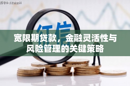 甘孜宽限期贷款，金融灵活性与风险管理的关键策略