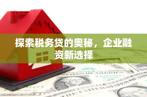 甘孜探索税务贷的奥秘，企业融资新选择