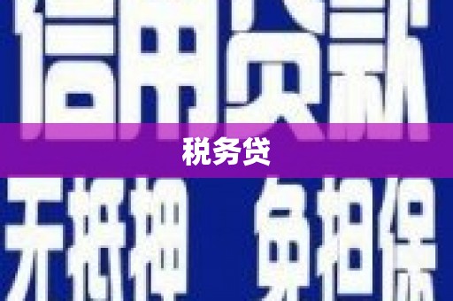 甘孜税务贷