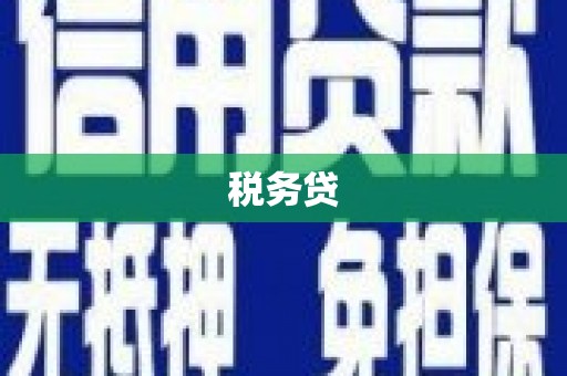 甘孜税务贷