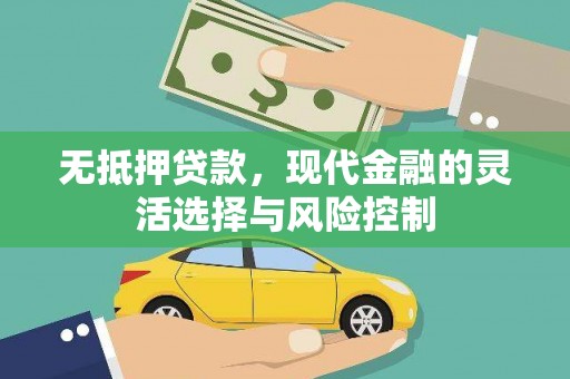 甘孜无抵押贷款，现代金融的灵活选择与风险控制