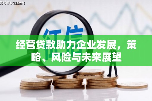 甘孜经营贷款助力企业发展，策略、风险与未来展望