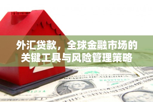 甘孜外汇贷款，全球金融市场的关键工具与风险管理策略