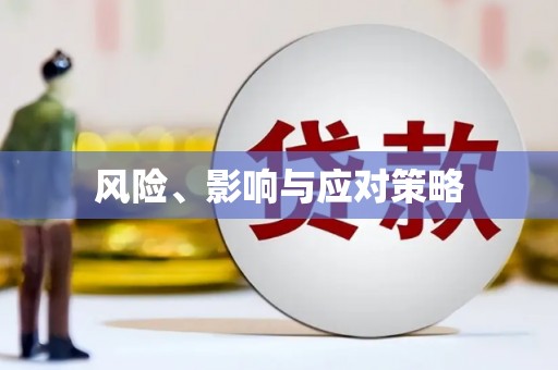 甘孜风险、影响与应对策略