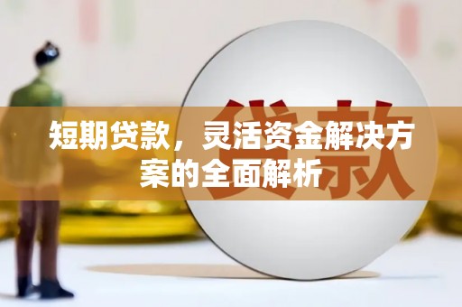 甘孜短期贷款，灵活资金解决方案的全面解析