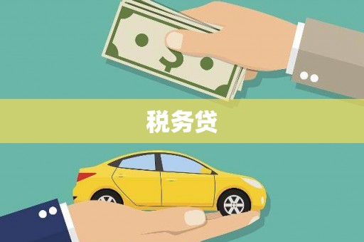 甘孜税务贷