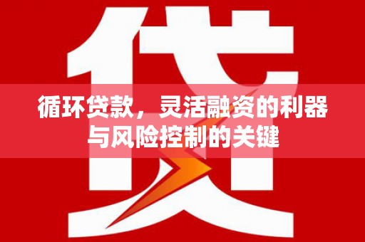 甘孜循环贷款，灵活融资的利器与风险控制的关键