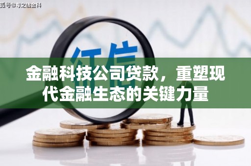 甘孜金融科技公司贷款，重塑现代金融生态的关键力量