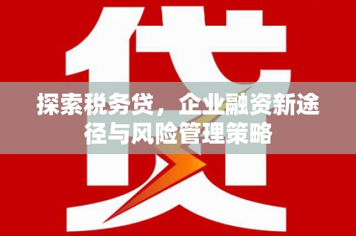 甘孜探索税务贷，企业融资新途径与风险管理策略