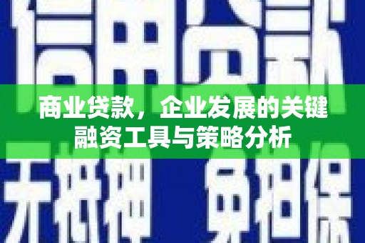 甘孜商业贷款，企业发展的关键融资工具与策略分析