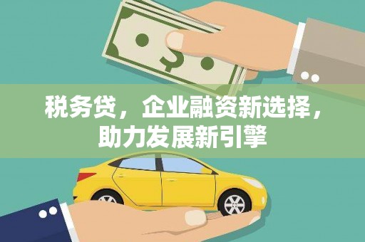 甘孜税务贷，企业融资新选择，助力发展新引擎